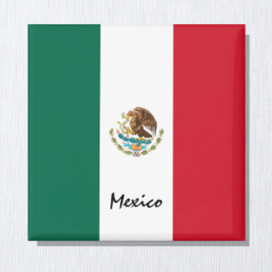 Mexicaanse vlag & Mexico - feestelijke en sportfan Magneet