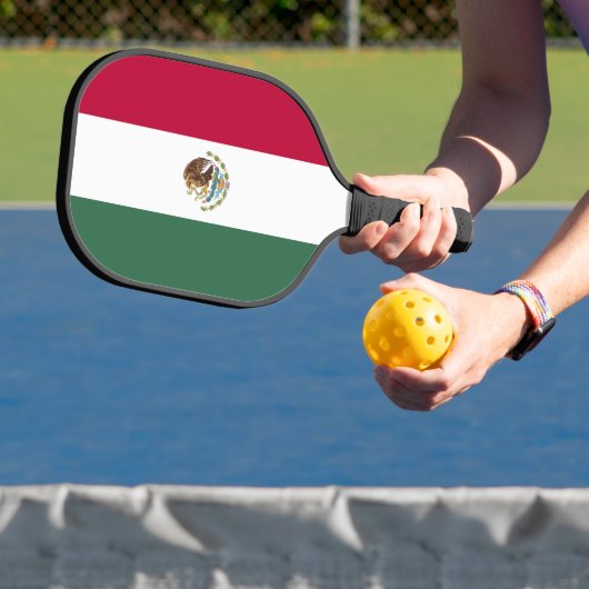 Mexicaanse vlag pickleball paddle (Insitu)