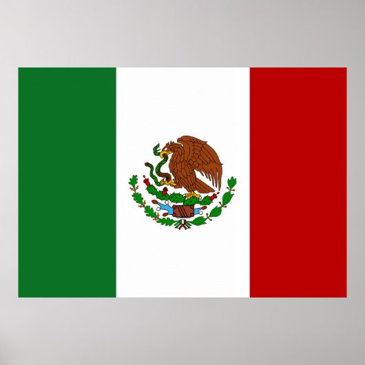 Mexicaanse vlag poster (Voorkant)
