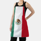 Mexicaanse vlag schort (Insitu)