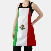 Mexicaanse vlag schort (Insitu)