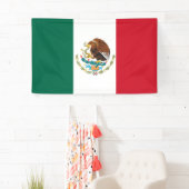 Mexicaanse vlag spandoek (Insitu)