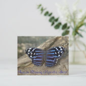 Mexicaanse vlinder (Myscelia ethusa) Briefkaart (Staand voorkant)