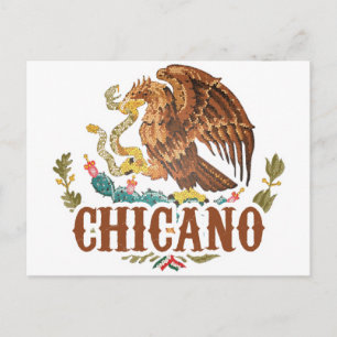 Mexicaanse wapenstilstand Chicano Briefkaart