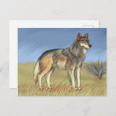 Mexicaanse Wolf Briefkaart (Voorkant / Achterkant)