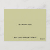 MEXICAN TOWN-BRIEFKAART BRIEFKAART (Achterkant)