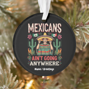 Mexicanen gaan nergens heen Een heldere stellingna Ornament