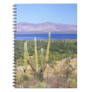 Mexico, Baja California Sur, Cardon Cactus bij Notitieboek