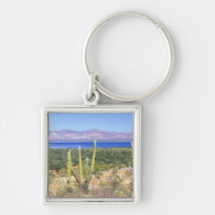 Mexico, Baja California Sur, Cardon Cactus bij Sleutelhanger