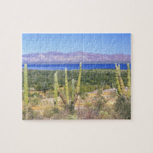 Mexico, Baja California Sur, Cardon Cactus op Legpuzzel