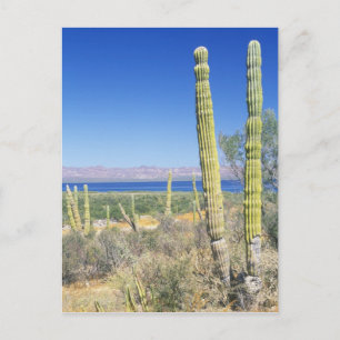 Mexico, Baja California Sur, Mulege, Baai Briefkaart