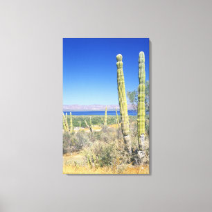 Mexico, Baja California Sur, Mulege, Baai Canvas Afdruk