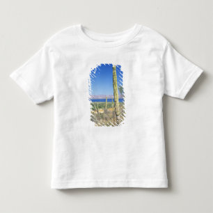 Mexico, Baja California Sur, Mulege, Baai Kinder Shirts