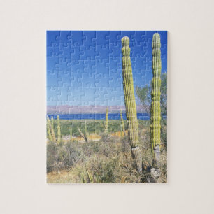 Mexico, Baja California Sur, Mulege, Baai Legpuzzel
