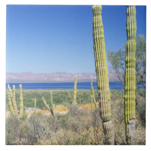 Mexico, Baja California Sur, Mulege, Baai Tegeltje