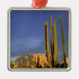 Mexico, Baja del Norte, Catavina Desert National Metalen Ornament