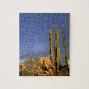 Mexico, Baja del Norte, Catavina woestijn nationaa Legpuzzel