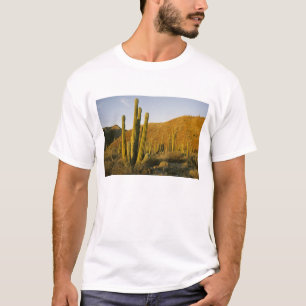 Mexico, Baja, eiland Santa Catalina, Zee van T-shirt