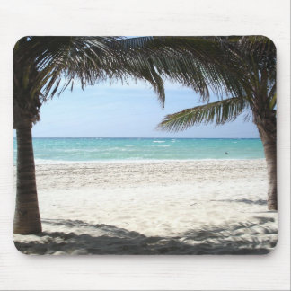 Mexico Beach Muismat