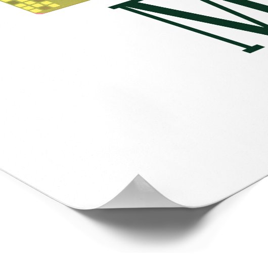 Mexico City  Poster (Hoek)