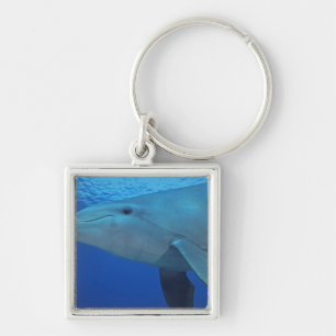 Mexico, Cozumel. Tuimelaar, Tursiops 4 Sleutelhanger