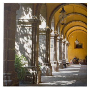 Mexico, deelstaat Guanajuato, San Miguel de Allend Tegeltje