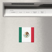 Mexico Flag Magnet 2 Magneet (Insitu (Vaatwasser))