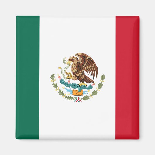 Mexico Flag Magnet 2 Magneet (Voorkant)