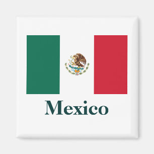Mexico Flag Magnet Magneet
