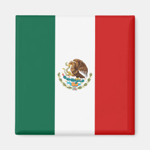 Mexico Flag Magnet Magneet