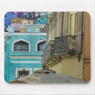 Mexico, Guanajuato. Dicht opeengepakte verzameling Muismat