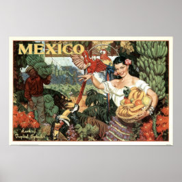  Mexico Land van het Poster van de Tropische Splen