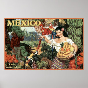mexico land van tropische milt poster