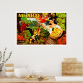  Mexico Land van Tropische Splendor Poster (Keuken)