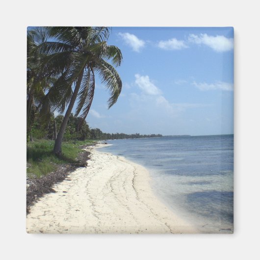 Mexico magneet (Voorkant)