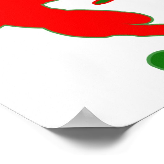 Mexico-Poster Poster (Hoek)