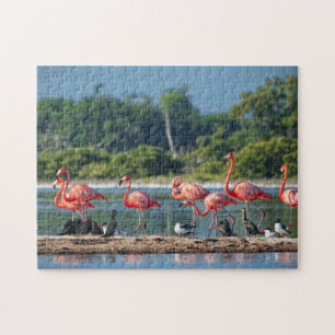 Mexico Rio Lagartos Legpuzzel