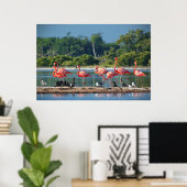 Mexico Rio Lagartos Poster (Thuiskantoor)