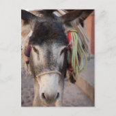 Mexico, San Miguel De Allende 2 Briefkaart (Voorkant)