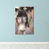 Mexico, San Miguel De Allende 2 Canvas Afdruk (Insitu (Houten vloer))