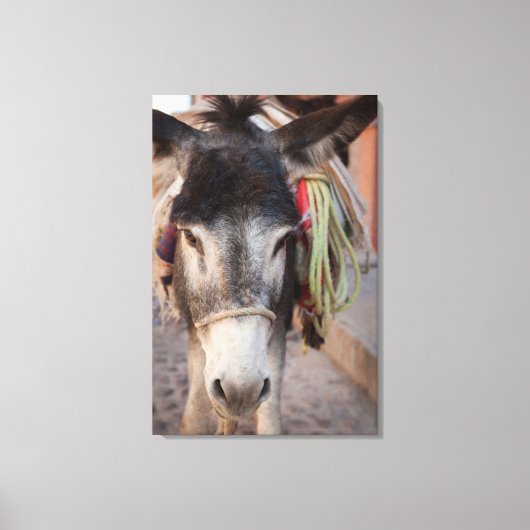 Mexico, San Miguel De Allende 2 Canvas Afdruk (Voorkant)