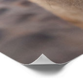 Mexico, San Miguel De Allende Poster (Hoek)