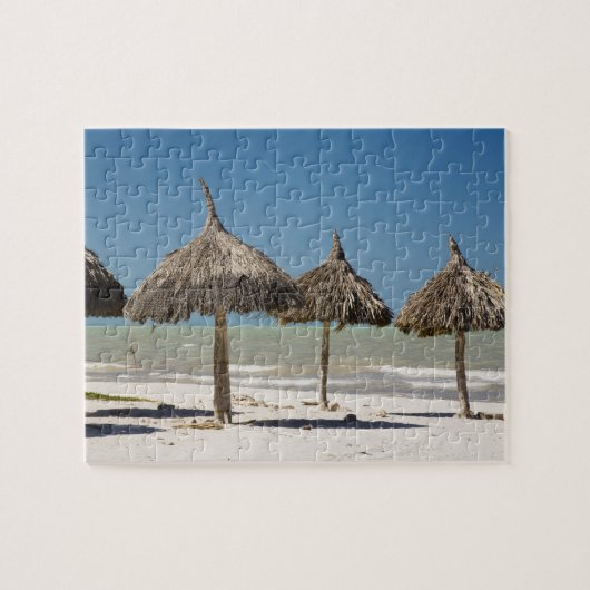 Mexico, schiereiland Yucatan, Progreso. Thatch Legpuzzel (Horizontaal)