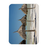 Mexico, schiereiland Yucatan, Progreso. Thatch Magneet (Verticaal)