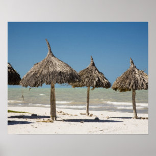 Mexico, schiereiland Yucatan, Progreso. Thatch Poster