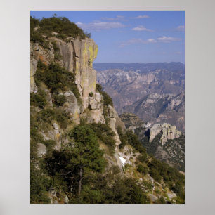 Mexico, staat Chihuahua, Copper Canyon. 2 Poster