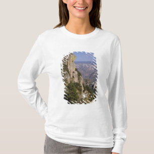 Mexico, staat Chihuahua, Copper Canyon. 2 T-shirt