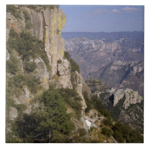 Mexico, staat Chihuahua, Copper Canyon. 2 Tegeltje