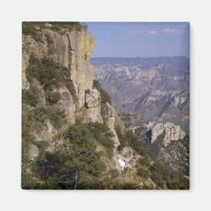 Mexico, Staat Chihuahua, Copper Canyon. DEZE 2 Magneet