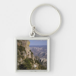 Mexico, staat Chihuahua, Copper Canyon. DIT 2 Sleutelhanger